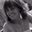 Terri Sharp's profile image