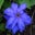 Stacia Vogel's profile image