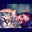 Tricia Cawley's profile image