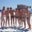 Osh-the Only-onry's profile image