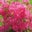 Dawn Mashak's profile image