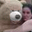 Donna's profile image