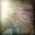 Megan Potter's profile image