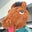 Billy Bronco's profile image