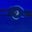 Darwin E's profile image