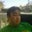 Ed Moy's profile image