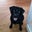 Ruthie Toomey's profile image