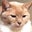 Karen L's profile image