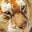 Sue Page's profile image