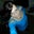 Karen Russell DuBose's profile image