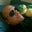 Tony Northrup's profile image
