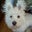 Nichole Seitz's profile image