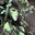 Angel's profile image