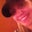 Christina Cormier's profile image