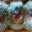 NC family Sixx's profile image