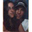 Jasson Obomsawin's profile image