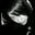 Shylo Oberst's profile image