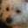 Tracy Harris's profile image