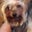 Stacie Nichols's profile image