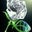 Heather Schwagel's profile image