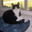 Paula Rochester's profile image