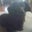 Gerald Gapusan's profile image