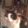 Mary N's profile image