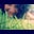 Anna Lyvers's profile image