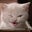 Lynette's profile image