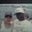 Diann W.'s profile image