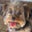 Doris W's profile image