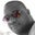 mike mills's profile image