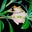 Jitka Stahala's profile image