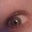 Kathy VandeWalle's profile image