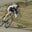 Jeffrey Palter's profile image