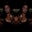 Samantha Heredia's profile image