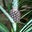 Gretchen Day-Bryant's profile image