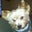 Sharon McDonald's profile image