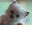 Asma's profile image