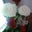 Cathy Van Lengen's profile image
