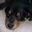 Christine Karnes's profile image