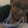 Mrs. Davila's profile image