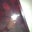 Gaston Ortiz Gil's profile image