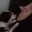 Emily Stieren's profile image