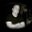 Gregg Peters's profile image