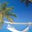 Beach-Bum Steve's profile image