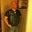 Gregory Trevino's profile image