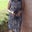 Shivani M's profile image