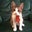 David Kultgen's profile image