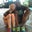 Jerrow Lenoir's profile image